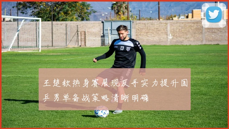 王楚钦热身赛展现反手实力提升国乒男单备战策略清晰明确