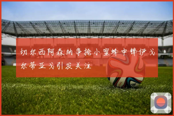 切尔西阿森纳争抢小蜜蜂中锋伊戈尔蒂亚戈引发关注