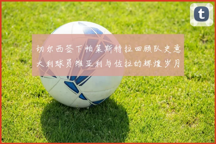 切尔西签下帕莱斯特拉回顾队史意大利球员维亚利与佐拉的辉煌岁月